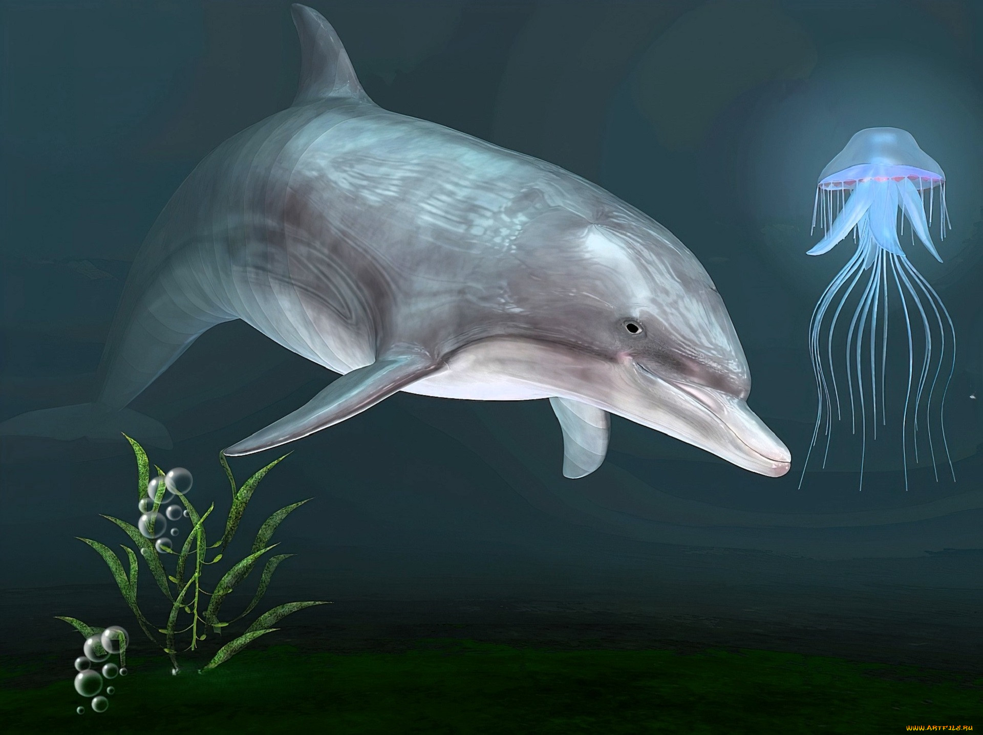 3 ,  , animals, , , , 